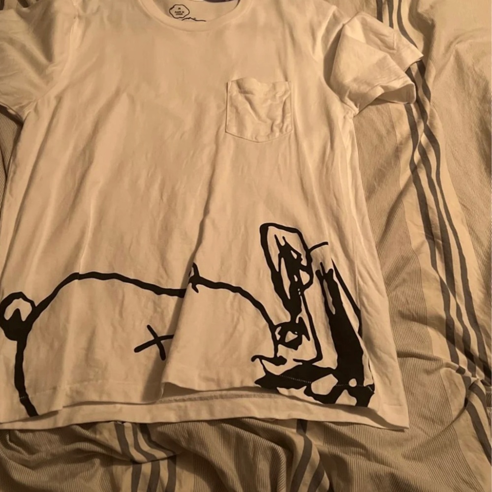 Kaws shirt